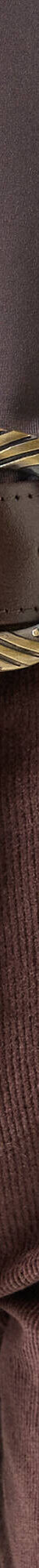 Riem met goudkleurige gesp (chocolade) Riem met goudkleurige gesp (chocolade)